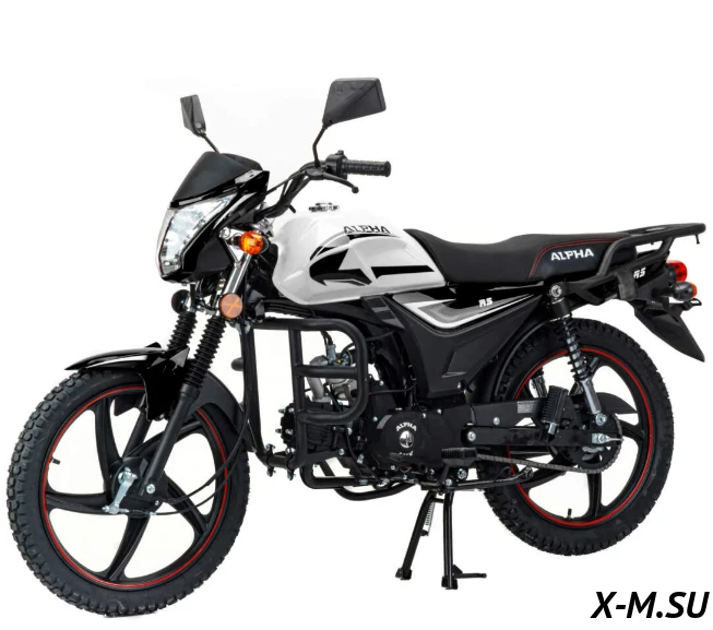 Мопед MOTOLAND (МОТОЛЕНД) Альфа RS 11 (LM48-B) черный (А) Мопед MOTOLAND (МОТОЛЕНД) Альфа RS 11 (LM48-B) черный (А)