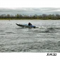 Алюминиевая моторная лодка WYATBOAT-390М