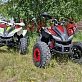 Квадроцикл PROMAX SPORT - PRO 180 (2024)