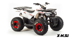 Квадроцикл MOTOLAND (МОТОЛЕНД) 125 WILD