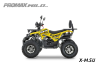 Квадроцикл PROMAX WILD 2.0 190 PRO (2025)