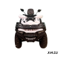 Квадроцикл BASHAN EXPLORER 300 BASIC