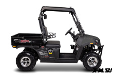 Мотовездеход (UTV/БАГГИ) AODES 170-10 Bed