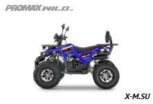 Квадроцикл PROMAX WILD 2.0 190 PRO (2025)