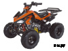 Квадроцикл ABM SCORPION 125A
