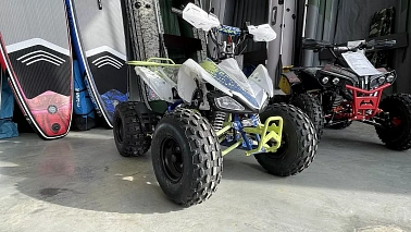 Квадроцикл BSE XT1 PRO SPORT