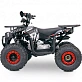 Квадроцикл  YACOTA SIRIUS 110			 			
