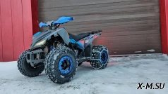 Квадроцикл PROMAX SPORT-PRO 180 Space (зимний комплект)
