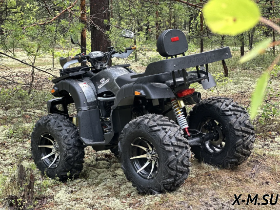 Квадроцикл PROMAX 320 DOMINATOR (2025)