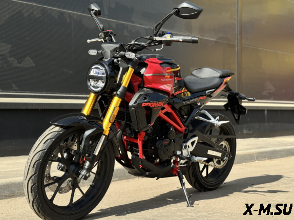Мотоцикл PROMAX CB300
