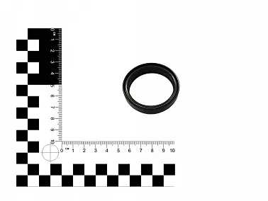 Сальник вилки J5/M2/M4/M8  73300390